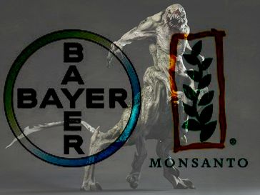Bayer Monsanto will Gott spielen, ohne zu wissen was sie da tun? (Symbolbild)