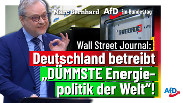 Bild: AfD Deutschland