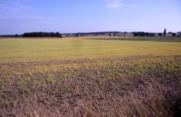 Roundup-Einsatz auf einem Acker nördlich von Dresden