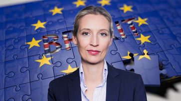 Dr. Alice Weidel (2018)