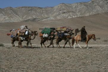 Zunehmend auch in Zentralasien ein seltenes Bild: Wanderhirten verlegen ihren Hausstand mehrfach im Jahr und nutzen so die jeweils besten Weidegründe Quelle: © Senckenberg (idw)