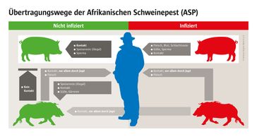 Bild: obs/Animal Rights Watch e.V.