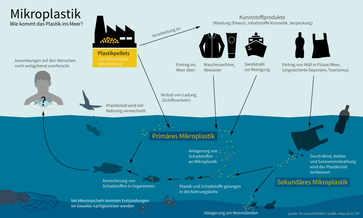 Wie kommt das Plastik ins Meer? Einträge von primärem und sekundärem Mikroplastik in die Ozeane.