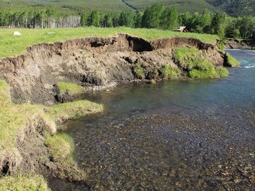 Auenlehm: Uferböschung des Kananaskis Rivers in den Kanadischen Rocky Mountains mit abgelagerten kohlenstoffreichen Hochflutsedimenten. Quelle: © Foto: Thomas Hoffmann (idw)