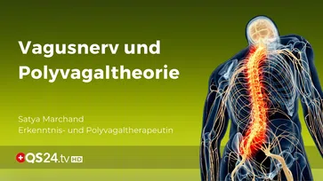 Bild: SS Video: "Vagusnerv und Polyvagaltheorie | NaturMEDIZIN | QS24 Gesundheitsfernsehen" (https://youtu.be/qfJWxox_3qg) / Eigenes Werk