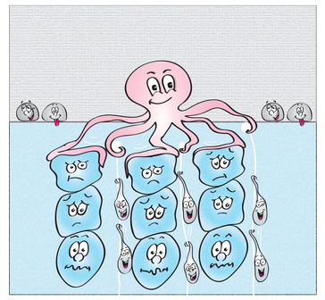 Illu Segregationsprozess: Der Oktopus steht für das Aktin-Organisationszentrum der Zebrafisch-Eizelle. Dieses zieht gleichzeitig Cytoplasma-Päckchen nach oben und drückt Dottergranulate nach unten
Quelle: IST Austria/Justine Renno (idw)