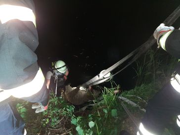 Mit vereinten Kräften wurde das Schaf mit einem Feuewehrschlauch aus dem Schlamm gehoben. Bild: (T. Schmidt)