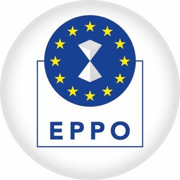 Emblem der Europäischen Staatsanwaltschaft