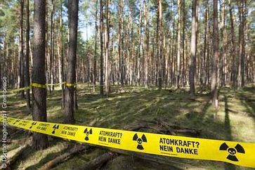 Das Grundstück von Greenpeace im Gorlebener Forst. Bild: Dörthe Hagenguth / Greenpeace