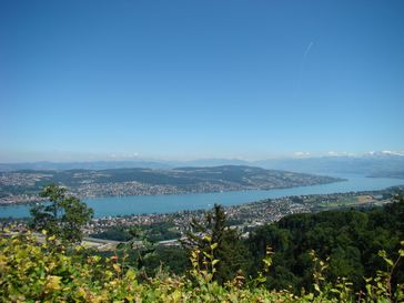 Zürichsee vom Uetliberg aus gesehen
