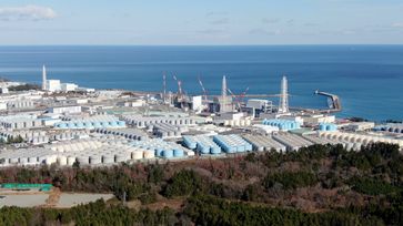 Auf dem Kraftwerksgelände von Fukushima Daiichi haben sich in den vergangenen zehn Jahren 1000 Auffangtanks mit kontaminierten Wasser "angesammelt".  Bild: ZDF Fotograf: Timo Bruhns