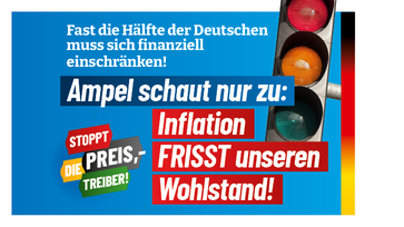 Bild: AfD Deutschland