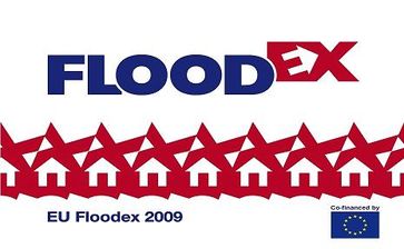 FloodEx