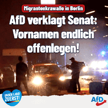 Bild: AfD Deutschland