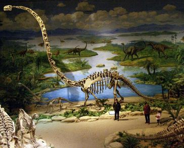 Mamenchisaurus mit extrem langem Hals aus dem Dinosaurier-Museum in Zigong (China).
Quelle: (c) Foto: Nicole Klein/Uni Bonn (idw)