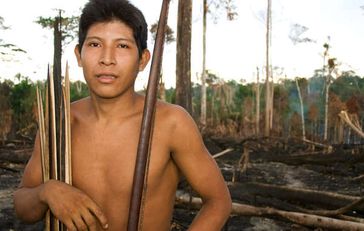Vales Vorhaben die Carajás-Bahnlinie zu erweitern, ist eine der vielen Bedrohung für das Awá-Volk. Bild; Fiona Watson/Survival