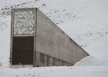 Eingang des Svalbard Global Seed Vault (2012).