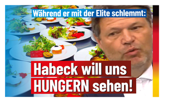 Bild: AfD Deutschland