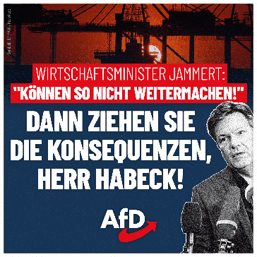 Bild: AfD Deutschland