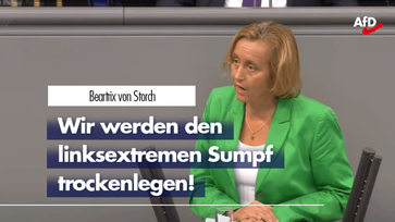 Beatrix von Storch (2020)