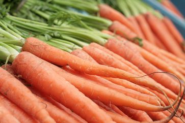 Wurzeln der Karotte (Daucus carota)