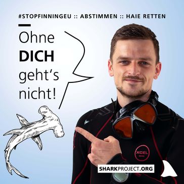 Bild: Sharkproject