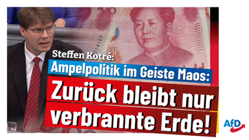 Bild: AfD Deutschland