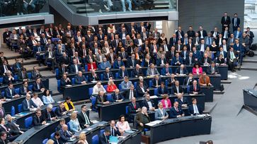 AfD Fraktion im Parlament (2025) Bild: AfD Deutschland