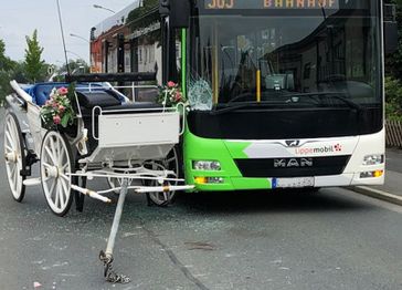 Unfall mit Hochzeitskutsche Bild: Polizei