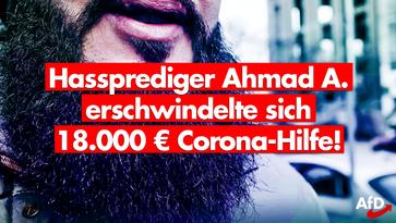 Bild: AfD Deutschland