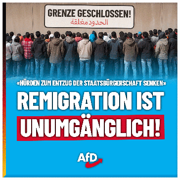 Bild: AfD Deutschland