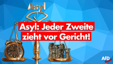 Bild: AfD Deutschland