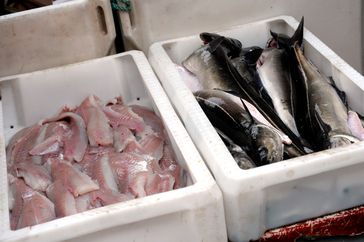 Köhler „Seelachs“ im Fisch­handel: Filets (li.), aus­genommene Fische