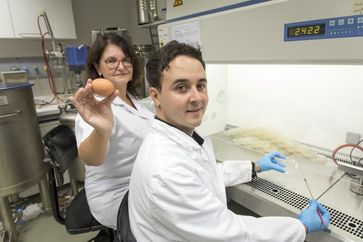 Gabriele Berg und Tomislav Cernava vom Institut für Umweltbiotechnologie der TU Graz. Bild: © Lunghammer - TU Graz (idw)