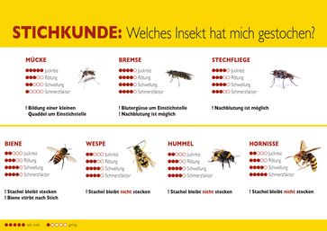 Stichkunde Insekten. Bild: "obs/ALK-Abelló Arzneimittel GmbH"