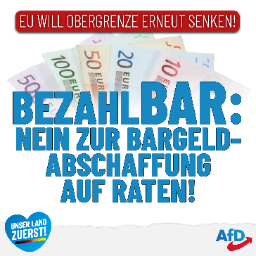 Bild: AfD Deutschland