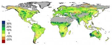 Satellitendaten zeigen in Prozent die Veränderung der Grünpflanzen auf der Welt von 1982 bis 2010.  Bild: Stan Beer - EIKE
