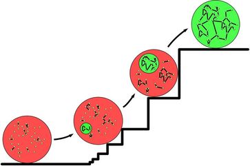 Der Kreis infizierter Personen (grün dargestellt) innerhalb einer Gesamtbevölkerung (großer roter Kreis) kann sprunghaft und damit unkontrollierbar ansteigen. Manchmal folgt der Wachstumsprozess einer Teufelstreppe.
Quelle: Grafik: MPIDS (idw)