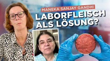 Bild: AUF1 / Eigenes Werk