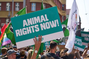 Laut, bunt und mit klarer Forderung zogen die Demonstranten durch Berlin. Bild: "obs/Tierrechtsaktivistenbündnis/Karsten Günter"