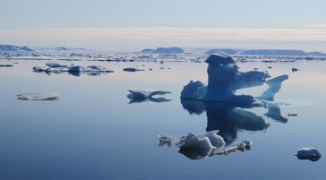 Schmelzendes Eis vor Grönland.
Quelle: Foto: R. Spielhagen. (idw)