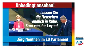 Bild: AfD Deutschland