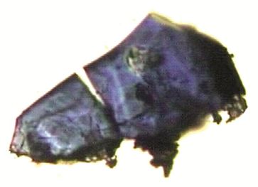 Kristalle von (Mg,Fe)2SiO4 - Ringwoodit, hergestellt im Hochdrucklabor des Bayerischen Geoinstituts
Quelle: Foto: Prof. Dr. Dan Frost, Bayerisches Geoinstitut, Universität Bayreuth; zur Veröffentlichung frei. (idw)