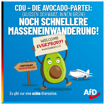 Bild: AfD Deutschland