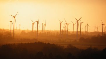 Stoppt grüne Umweltzerstörer: Greenpeace, Deutsche Umwelthilfe & „Erleuchtete“ wollen Naturschutz für die Ausbreitung von Windkraftmaschinen plattmachen.