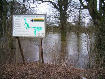 Flussauenlandschaft im Nationalpark Unteres Odertal