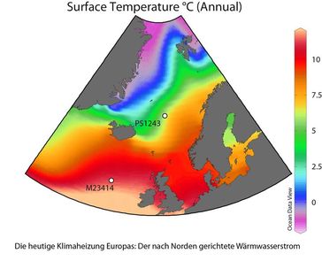 Die Karte der durchschnittlichen Oberflächentemperaturen des modernen Nordatlantiks und Nordmeers zeigt deutlich den Wärmetransport nach Norden. An den bezeichneten Punkten wurden die Sedimentkerne entnommen, deren Auswertung andeutet, dass dieser Wärmetransport in der Eem-Warmzeit nicht so ausgeprägt gewesen sein kann.
Quelle: Grafik: H. Bauch, AdW Mainz/GEOMAR (idw)