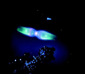 Planetarische Nebel können demnächst in Planetarien von verschiedenen Seiten betrachtet werden. Hier eine Aufnahme des Butterfly Nebula M2-9 im Planetarium der Fachhochschule Flensburg.Quelle: Universität Stuttgart/Visualisierungsinstitut, Universität Braunschweig/Institut für Computergraphik, Planetarium FH Flensburg. (idw)