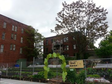 Städtische Landwirtschaft oder Urban Farming (Symbolbild)