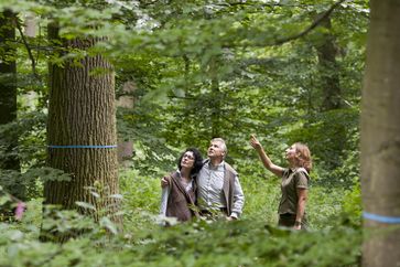 Bild: FriedWald GmbH Fotograf: FriedWald GmbH